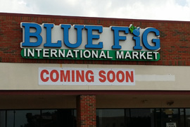 BLUE FIG